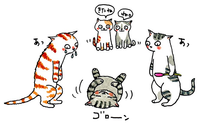 イリヤが来ると猫たちのケンカはぴたりと納まる