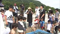 豊かな資源を守ろう 海の日に子どもたちがヒラメやタイの稚魚を放流 高松市