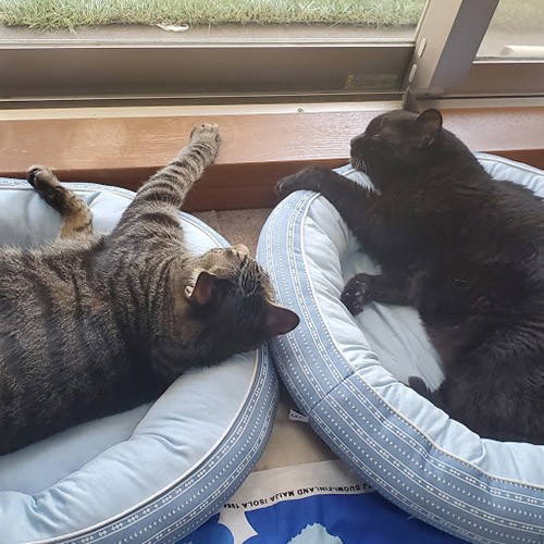 もう少し一緒にいたいな