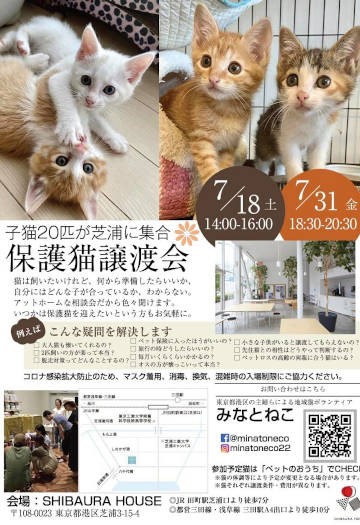 SNSに上がっていた譲渡会開催のチラシ