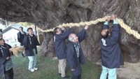 樹齢1600年以上のシンパク 正月を前にしめ縄を新調 香川・土庄町
