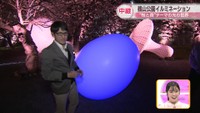 【中継】鶴山公園で「桜と森」のイルミイベント 光のトンネル、プロジェクションマッピングも 岡山・津山市