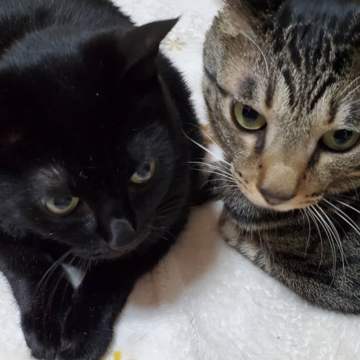 アップのショットはインスタの「土アップ祭」に投稿することも