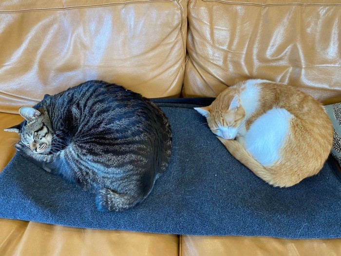 シンクロしてます(千鶴子さん提供)