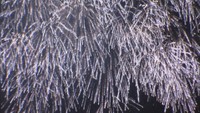 さぬき高松まつり 花火大会が5年ぶり開催へ サンポート周辺の工事のため規模は縮小