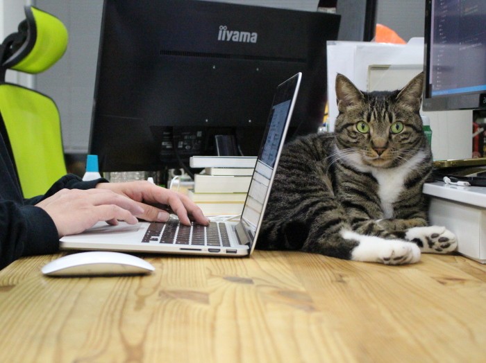 気の合う社員の側にいる シーちゃん(みんなのマーケット提供)