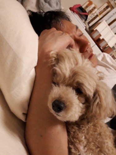 家でパパとお休み中「パパはトリミングが上手なの」〔提供写真)