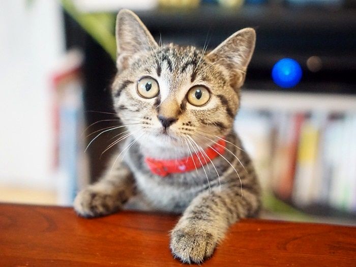 「あたしもどんどん可愛くなるわ~」