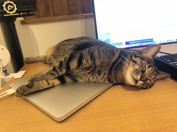 パソコンの上が温かくて、気持ちよく寝てしまう日常(Shingo Suzukiさん提供)