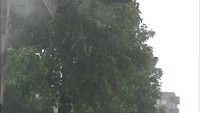 台風12号 29日午前に香川に最接近…交通機関に乱れ