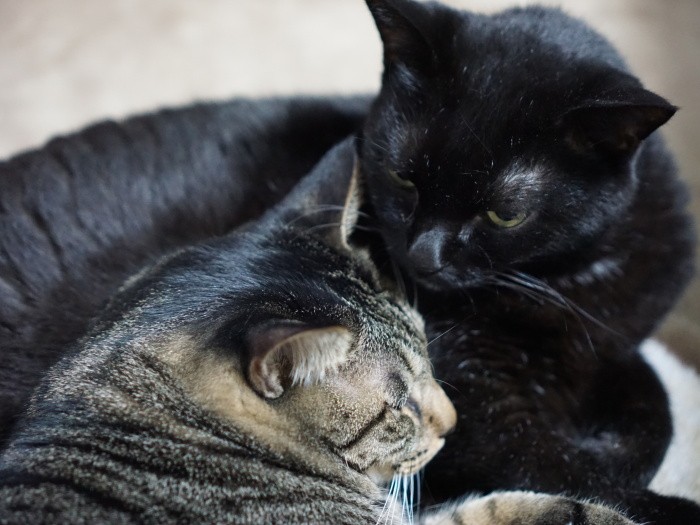 年下男子との間にいつしか愛が芽生えた?