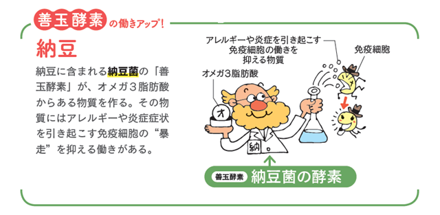 納豆菌の機能