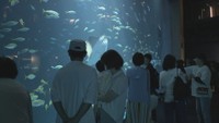 連休でにぎわう四国水族館 海に隣接…巨大地震に備え避難経路の確認も 香川・宇多津町