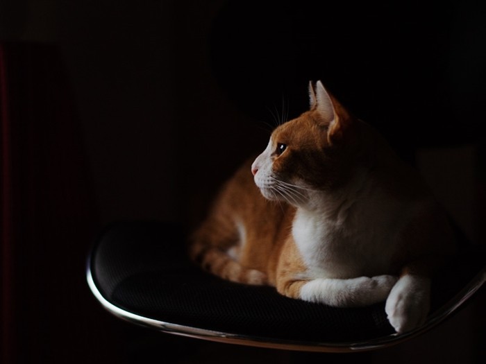 「僕はなんのためにここにいるんだろう。考えてるんだ」(小林写函撮影)