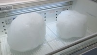 オホーツク海の流氷でひんやり涼しく 岡山市のデパートで展示