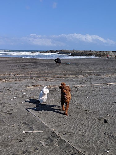 休日は海で遊んできました