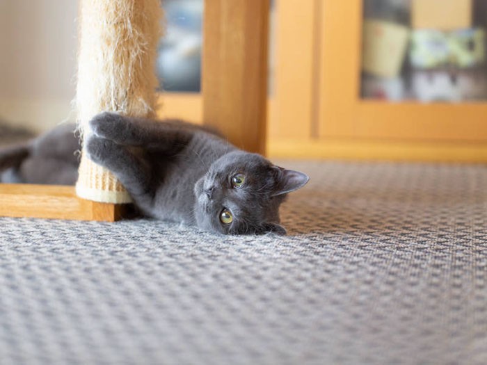 もう寝る? まだ寝ない?