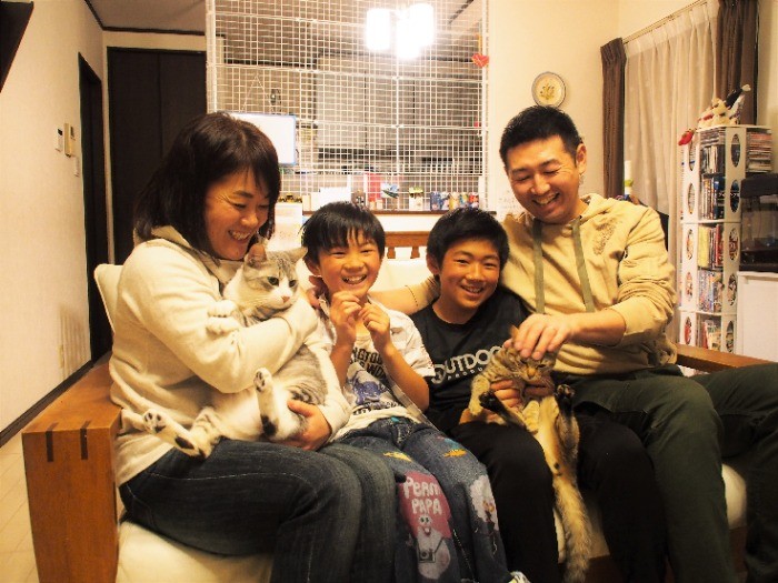 凌大くんいわく「パパは、毎晩、譲渡先募集中のノネコのHPを見ているよ」