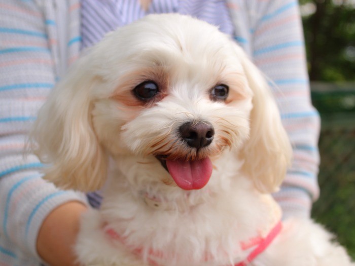 お母さんの胸に抱かれて