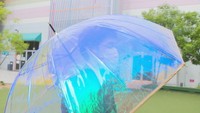 「梅雨の対策していますか?」気分を上げる♪かわいくて便利なレイングッズはいかが 岡山・香川【みんなに聞いてみた】