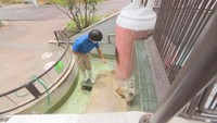 〈新型コロナ〉21日の緊急事態宣言解除を前に動物園や飲食店など営業再開の準備に追われる 岡山