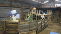「海賊になりたい」自らの手で海賊船を!大学生の挑戦 香川・東かがわ市【いまココ!ナビ】