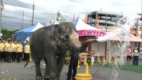 木下大サーカスが消防訓練 サーカスの人気者の「秘話」とは?岡山