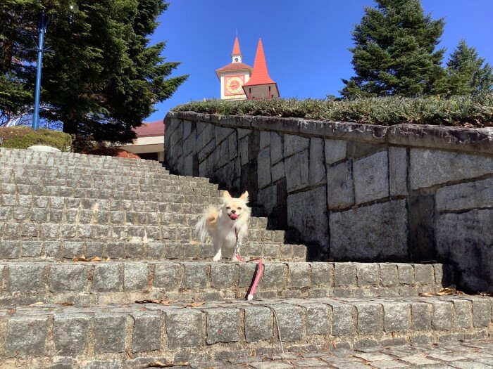 いろんなところにお出かけ(お母さん提供)