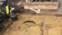 岡山市の道路下に直径約60cmの空洞を発見 直ちに陥没につながる恐れなし、埋めて安全を確保