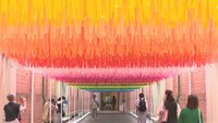 「mt」が彩る観光地 岡山県内でマスキングテープを巡る旅へ【いまココ!ナビ】