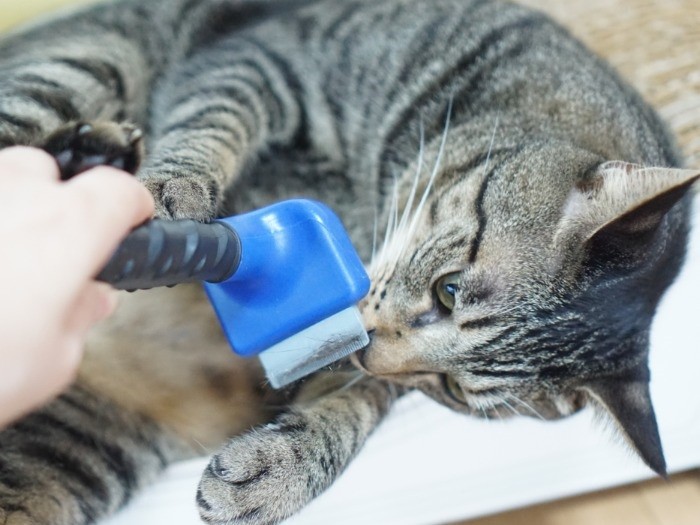 これはひげ剃りなの?