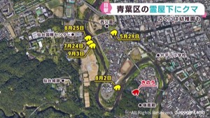 仙台市中心部近くの山林でクマの目撃情報 警察がパトロールを強化