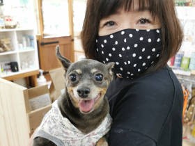 大切な人を亡くし、犬とこもったStayHome期間 もう1匹…と思った矢先にご縁