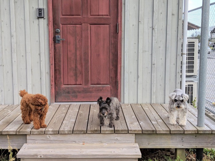 左からヴィヴィアン、キャンディ、JIRO