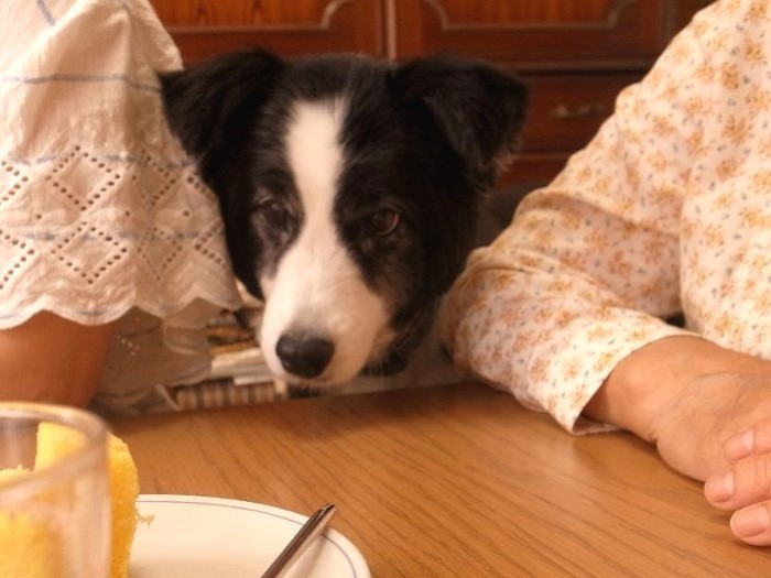 ケーキ、もっと欲しいな