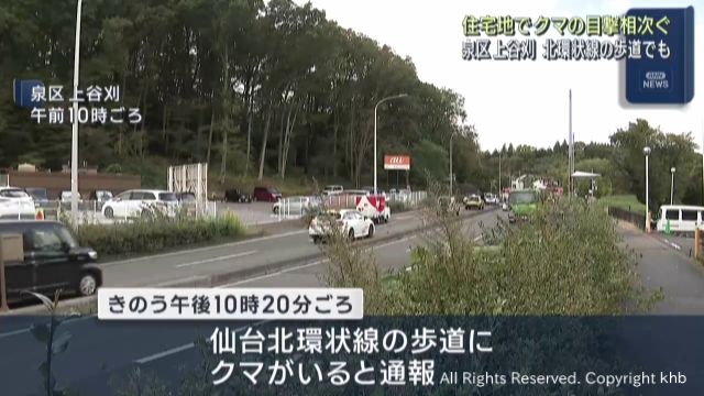 クマの目撃が相次ぐ 仙台・泉区の幹線道路ほか宮城県各地で