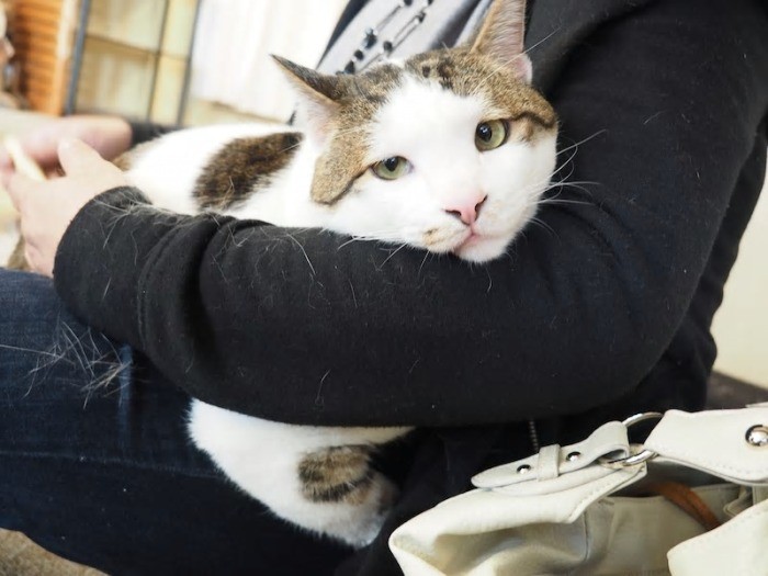 抱っこされるでか丸