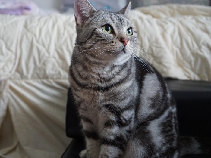 「で、いったい、ここはどこなんだろう」