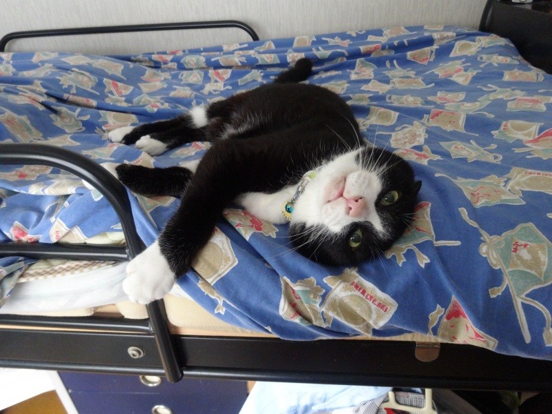 ベッドでのびのび~(佐藤さん提供)