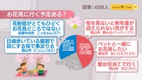 お花見に行く予定ある?【みんなに聞いてみた】