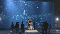 水槽前で愛を誓う 四国水族館で初の「結婚式」 香川・宇多津町