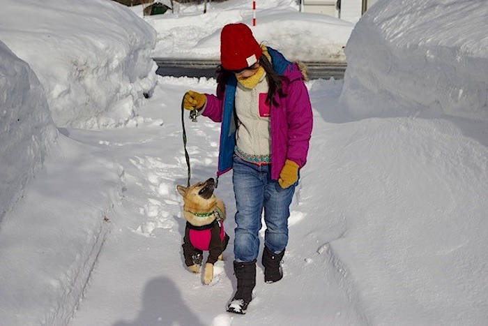 雪のなかのお散歩