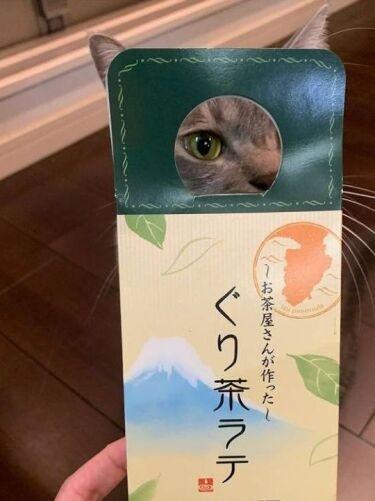 「センス抜群」(優香さん提供)