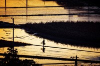 かがわの農村・ふるさと景観写真コンテスト 最優秀作品は「田を作る」