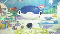四国水族館に「しゅこくんの部屋」が登場 人気キャラと自由におしゃべり 香川・宇多津町