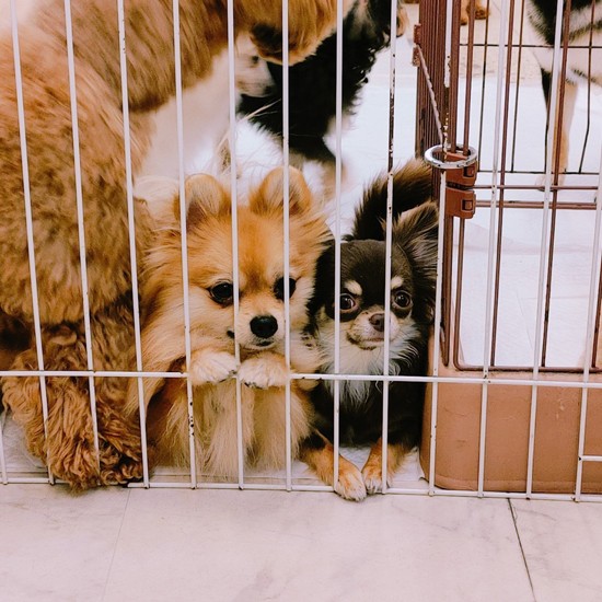 左からなっぱと玲生那(UG提供)