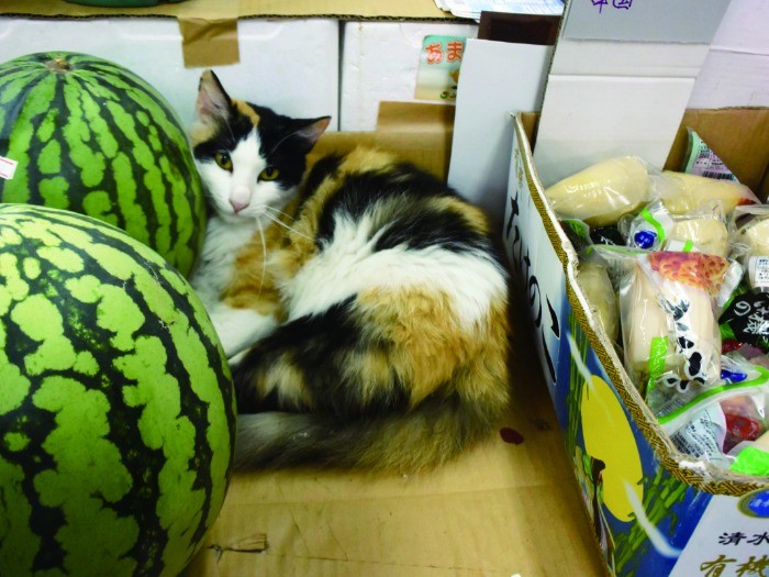 奥間青果(同市樋川1-29-26)のミー