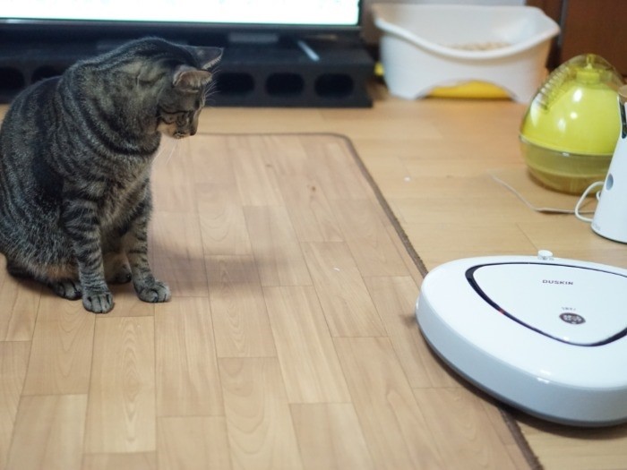 おーい、そこ段差だよ