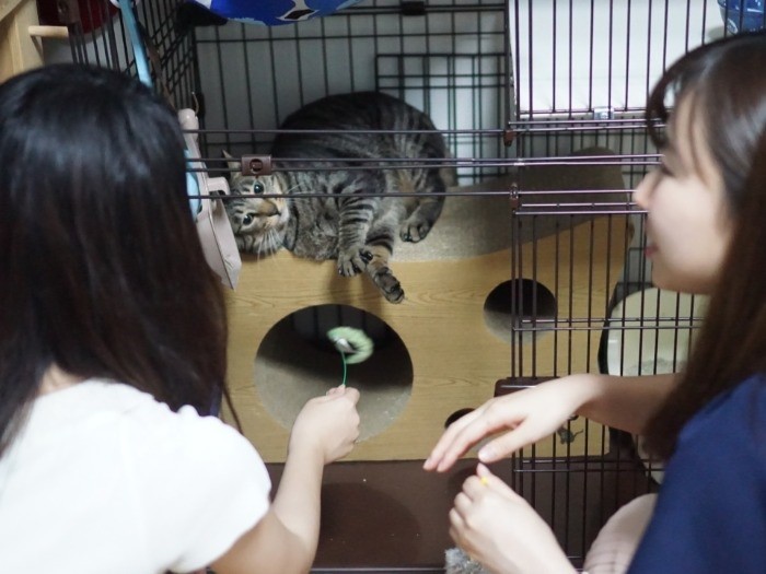 「出ておいで」「遊ぼうよ」