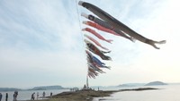 小豆島で海の上を泳ぐこいのぼり 5月8日まで 香川・土庄町